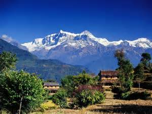 Непальские морчунги